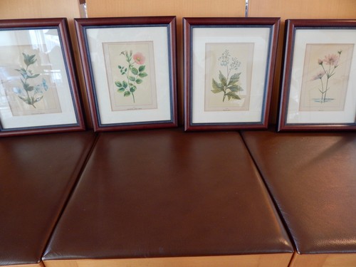 Set four framed antique - set,